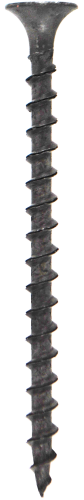 A.D.png
