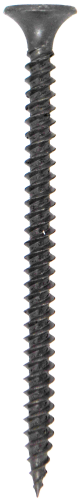 A.M.png