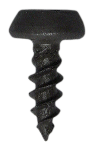 A.WSWS.png